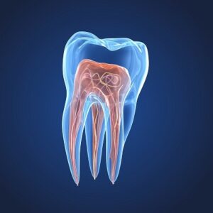 طب الأسنان في دبي | علاج قناة الجذر
