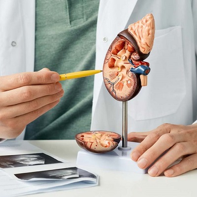Is Operative Urology Safe? Benefits and Risks in Dubai