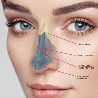 Rhinoplasty In Dubai Jumeirah