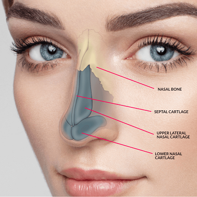 Rhinoplasty In Jumeirah Dubai, Abu Dhabi & Sharjah Price & Cost