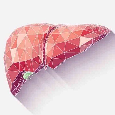 Blood Test For Liver Function at Home in Dubai & Abu Dhabi Royal