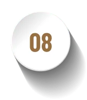 Group 1000002812