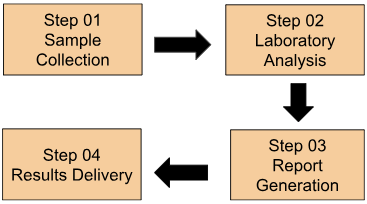 DNA Testing Process DNA Testing Process